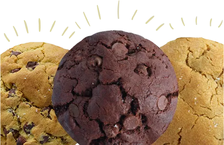 Variety of rich A2 butter organic chocolate cookies, seed oil-free, soy-free.