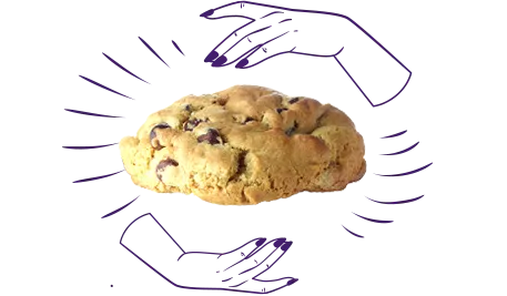 Artisanal A2 dairy organic chocolate chip cookie